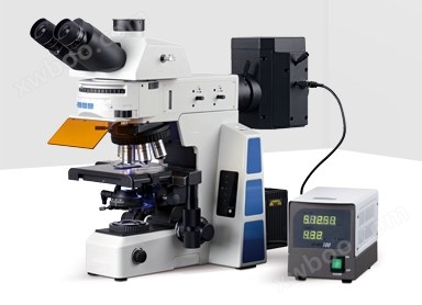 ZNR50研究级荧光显微镜