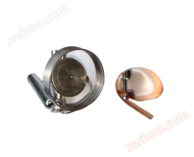 Rege rece 617365-T1200R supapa de dilatare